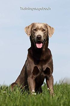 Trainingstagebuch: für Deinen Silber Labrador - mit Vorlagen schnell und einfach das Training dokumentieren (Labrador Retriever in silber - Trainingstagebuch, Krankenakte und Welpentagebuch)