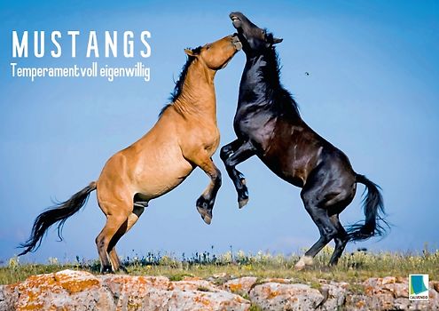 Temperamentvoll eigenwillig: Mustangs (Posterbuch DIN A4 quer)