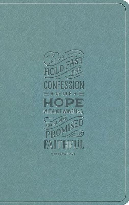 ESV Large Print Value Thinline Bible (Trutone, Paris Sky, Hebrews 10:23 Design)