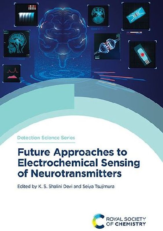 Future Approaches to Electrochemical Sensing of Neurotransmitters