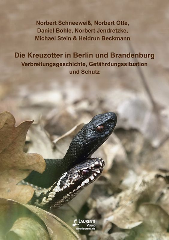 Die Kreuzotter in Berlin und Brandenburg