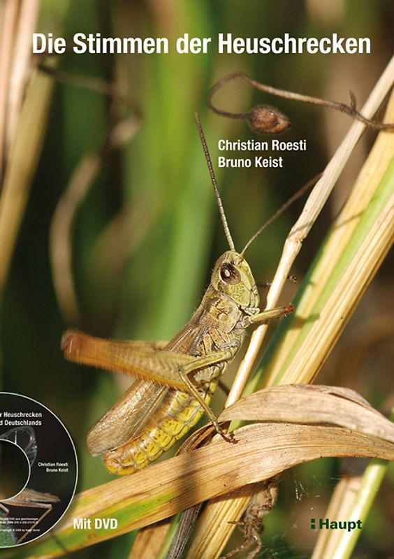Die Stimmen der Heuschrecken