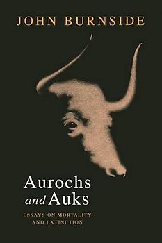 Aurochs and Auks
