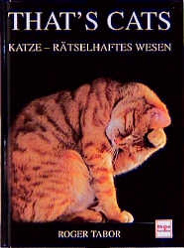 That's Cats. Katze - rätselhaftes Wesen