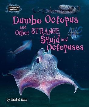 Dumbo Octopus and Other Strange Squid and Octopuses