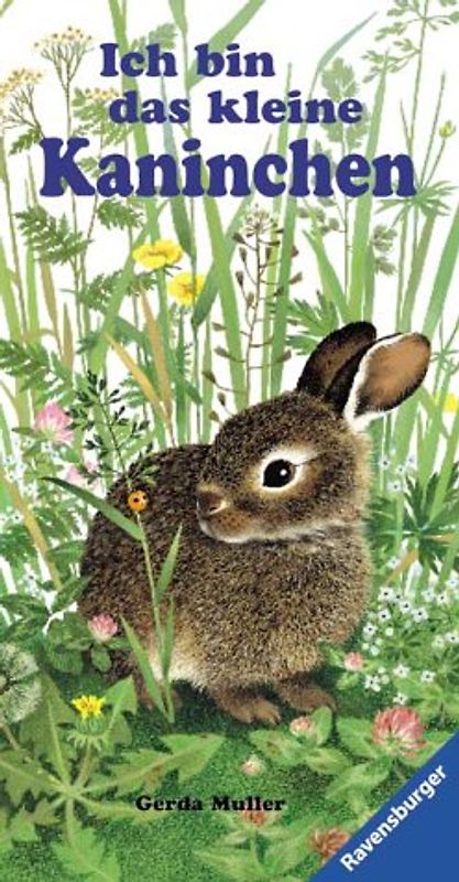 Ich bin das kleine Kaninchen