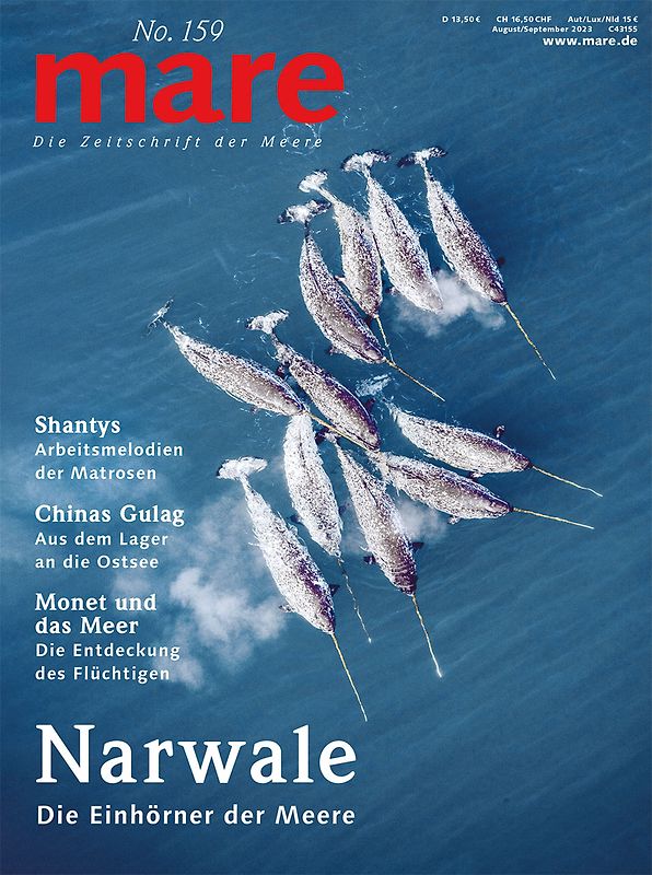 mare - Die Zeitschrift der Meere / No. 159 / Narwale
