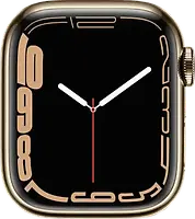 Apple Watch Series 7 41 mm Edelstahlgehäuse gold [Wi-Fi + Cellular]