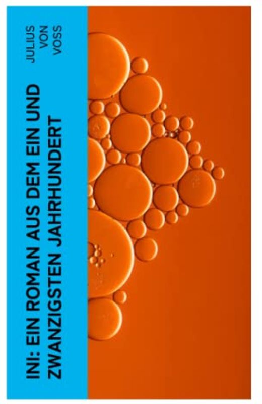 Ini: Ein Roman aus dem ein und zwanzigsten Jahrhundert