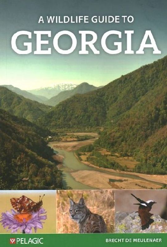 A Wildlife Guide to Georgia