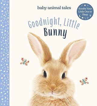 Goodnight, Little Bunny
