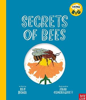Think Big: Secrets of Bees