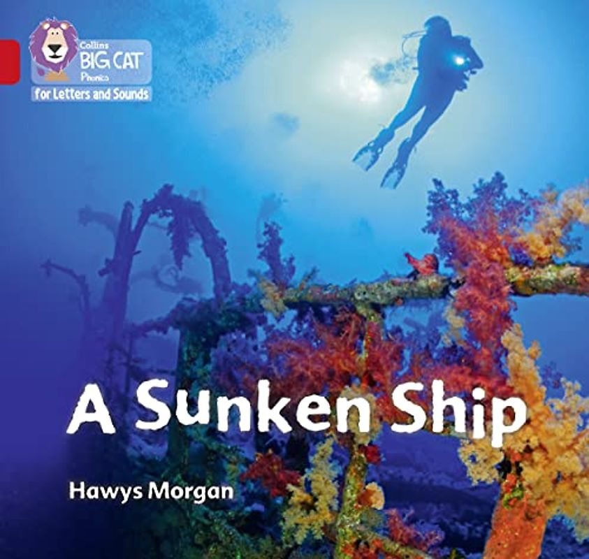 A Sunken Ship