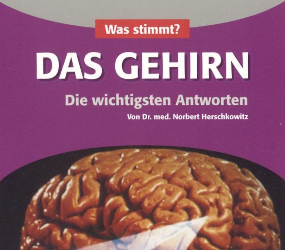 Was stimmt? Das Gehirn