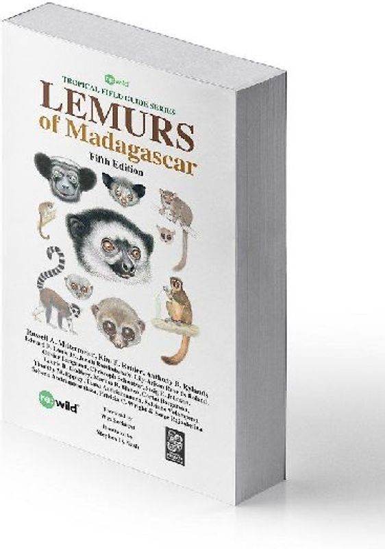 Lemurs of Madagascar