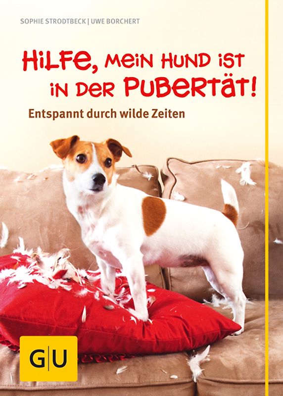 Hilfe, mein Hund ist in der Pubertät!