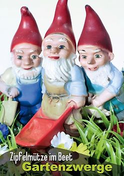 Zipfelmütze im Beet: Gartenzwerge (Posterbuch DIN A3 hoch)