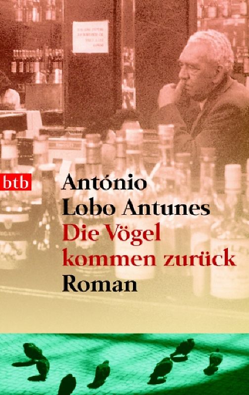 Die Vögel kommen zurück