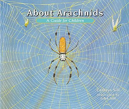 About Arachnids