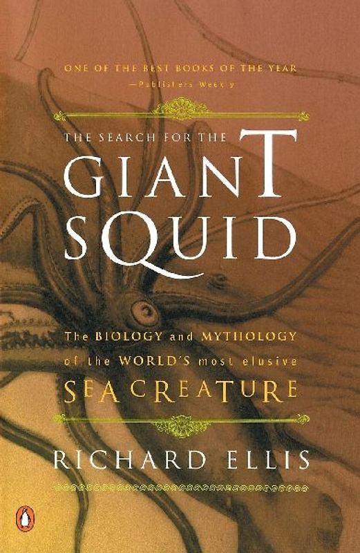 The Search for the Giant Squid