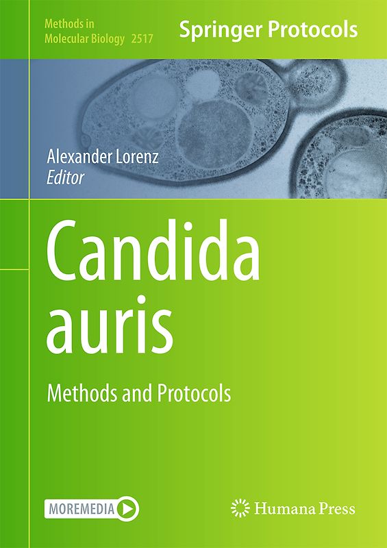 Candida auris