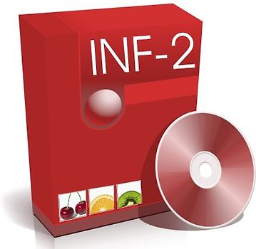 go te.comp - Wirtschaftsinformatik 2 (inkl. Trainingssoftware) - alter Lehrplan