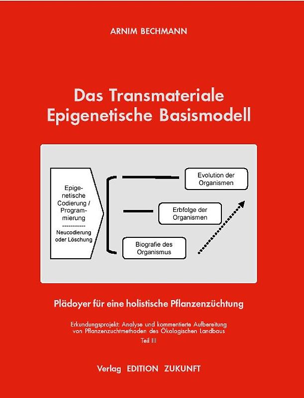 Das Transmateriale Epigentische Basismodell
