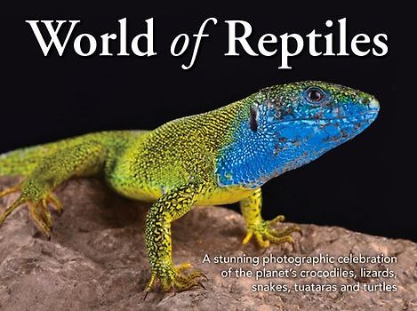 World of Reptiles
