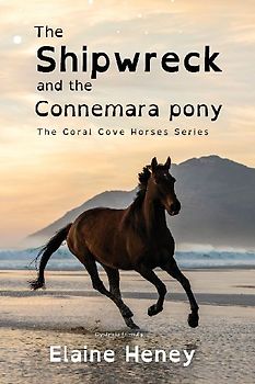 The Shipwreck and the Connemara Pony - Dyslexia Friendly