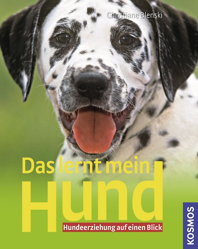 Das lernt mein Hund