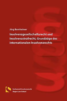 Insolvenzgesellschaftsrecht und Insolvenzstrafrecht, Grundzüge des internationalen Insolvenzrechts