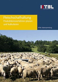 Fleischschafhaltung