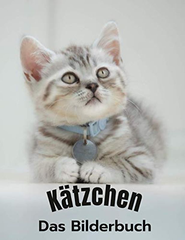Kätzchen: Ein entzückendes Bilderbuch mit 40 entzückenden Kätzchen für Kinder oder Menschen mit Demenz oder Alzheimer.