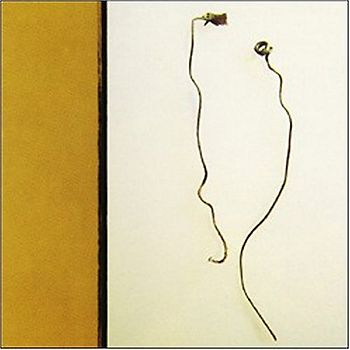 Smart Went Crazy - Con Art