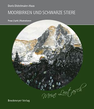 MOORBIRKEN UND SCHWARZE STIERE