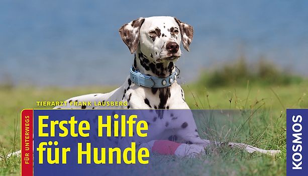Erste Hilfe für Hunde