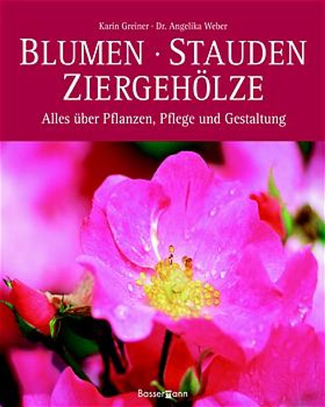 Blumen, Stauden, Ziergehölze