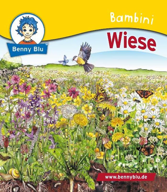 Bambini Wiese. Bestandteil der Bambini Starter-Box