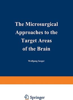 The Microsurgical Approaches to the Target Areas of the Brain