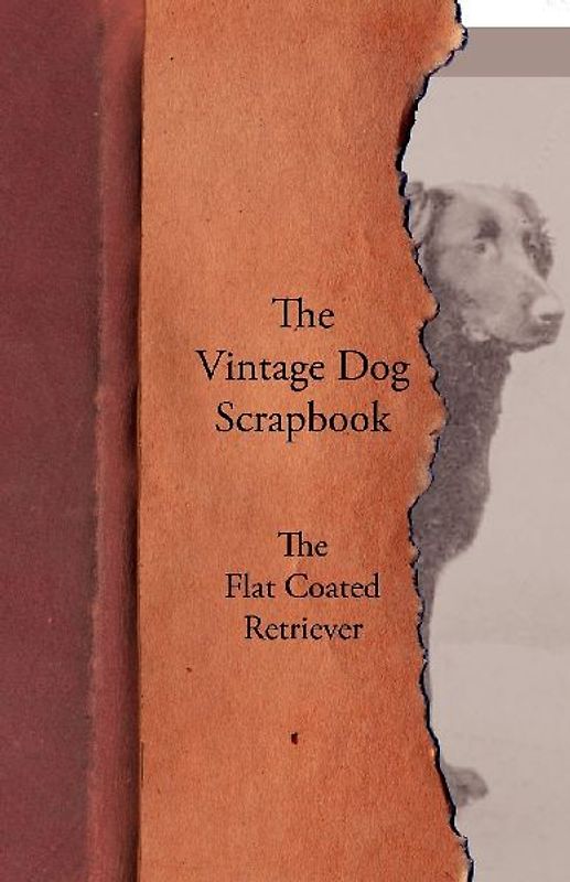 The Vintage Dog Scrapbook - The Flat Coated Retriever