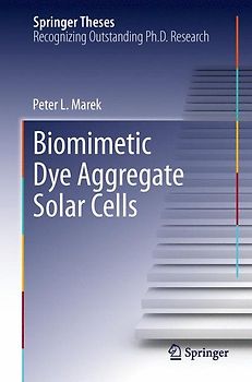 Biomimetic Dye Aggregate Solar Cells