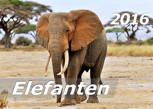 Elefanten 2016 Kalender (DIN A3)