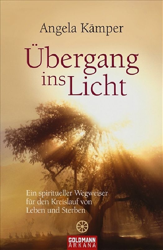 Der Übergang ins Licht