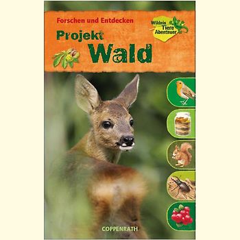 Forschen und Entdecken: Projekt Wald