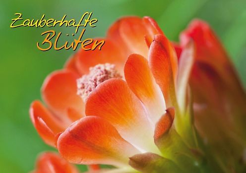 Zauberhafte Blüten (Tischaufsteller DIN A5 quer)