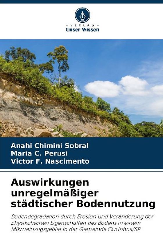 Auswirkungen unregelmäßiger städtischer Bodennutzung