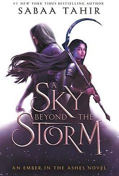 A Sky Beyond the Storm