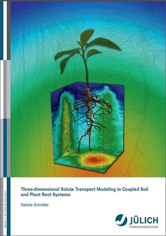 Three-dimensional Solute Transport Modeling in Coupled Soil and Plant Root Systems
