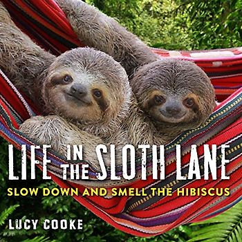 Life in the Sloth Lane: Slow Down and Smell the Hibiscus: 1
