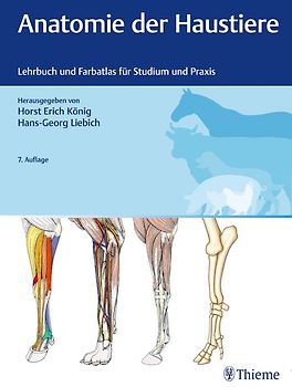 Anatomie der Haustiere